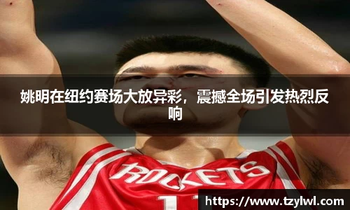 姚明在纽约赛场大放异彩，震撼全场引发热烈反响